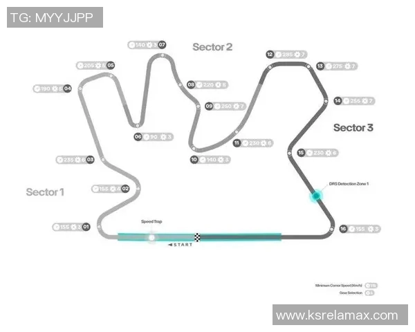 F1赛季赛道特性及车队策略调整